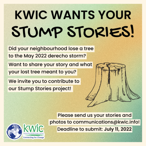 Image of callout for submissions stump stories project featuring a green gradient background and a drawing of a stump.