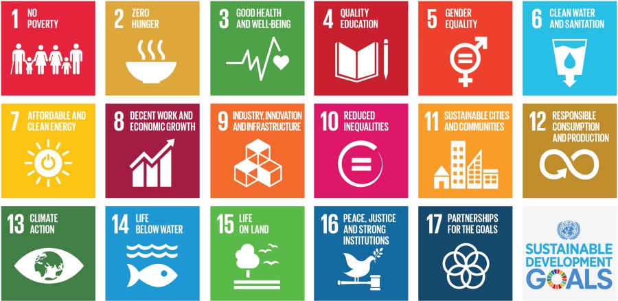 Infographic of the 17 SDGs