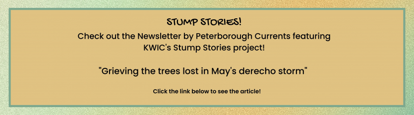A dark yellow banner with the text "Check out the Newsletter by Peterborough Currents featuring KWIC's Stump Stories project!  "Grieving the trees lost in May's derecho storm" under the Stump Stories title, with a link to the article. 