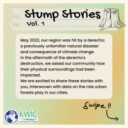  Stump Stories Volume 1.1