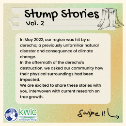 Stump Stories Volume 2.1