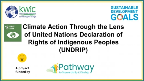 Image of UNDRIP Climate Action Workshop